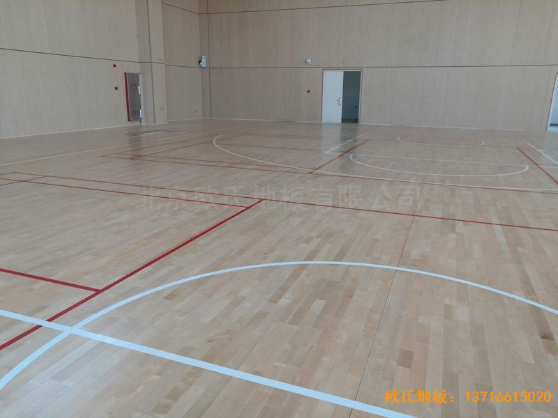 �V����혴���FӢ�ЌW(xu��)�\(y��n)��ľ�ذ尲�b����