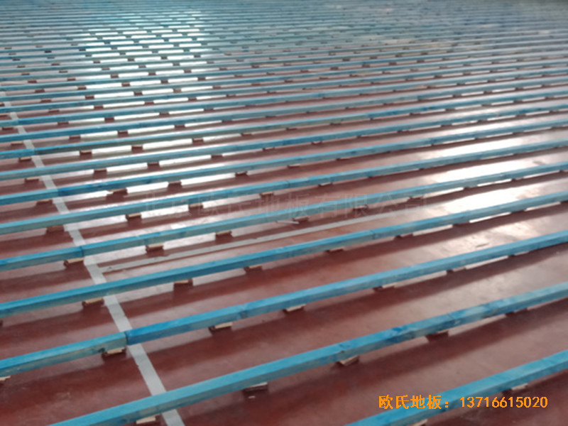 �ӱ������w���WУ�@���^�w��ľ�ذ���O����1