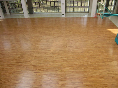 ����w���\��ľ�ذ�İlչʷ-������ͬ�lչ�A��