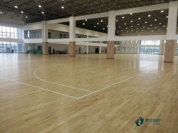 ��(sh��)ľ�\(y��n)��(d��ng)��(ch��ng)�صذ����ӱ��B(y��ng)