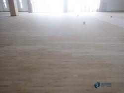 �҃�(n��i)�\���͵ذ�ʩ���F�