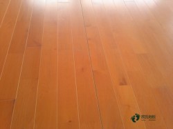 �^�õ��\��ľ�ذ��坍�B(y��ng)�o